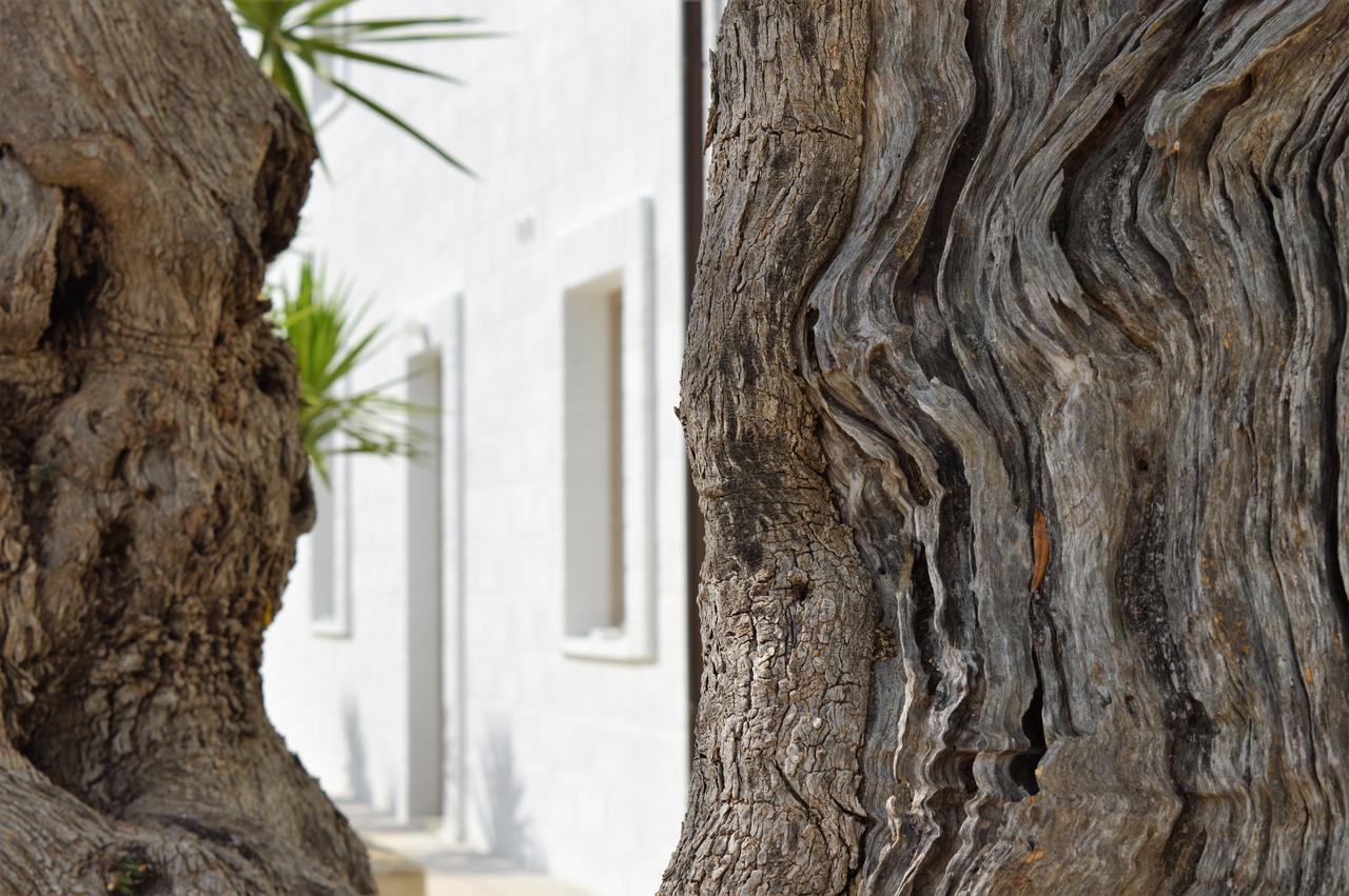Masseria Torrepietra Монополі Екстер'єр фото